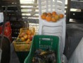 /album/projeto-vida-nova/sdc14468-jpg/