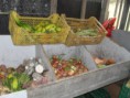 /album/projeto-vida-nova/sdc14469-jpg/