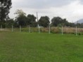 /album/projeto-vida-nova/sdc14385-jpg/