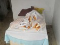 /album/projeto-vida-nova/sdc14510-jpg/