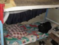 /album/projeto-vida-nova/sdc14531-jpg/