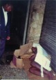 /album/projeto-vida-nova/a1foto3-jpg/